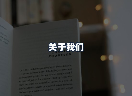 关于我们